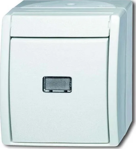 Busch-Jaeger 2601/6WGL-54 Schalter Aus-/Wechsel, mit Kalotte, Aufputz IP44