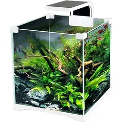 SunSun O!-LED Aqua 15l Aquariumset