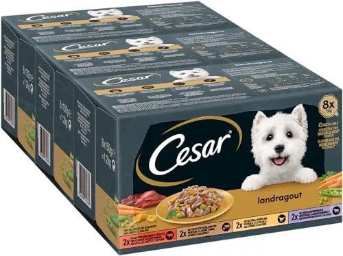 Cesar Hundefutter Landküche Vielfalt in Sauce, 3.6 kg - Nassfutter für Hunde, ideal zur Unterstützung des Gewichtsmanagements, mit saftigem Huhn für ein schmackhaftes Erlebnis.