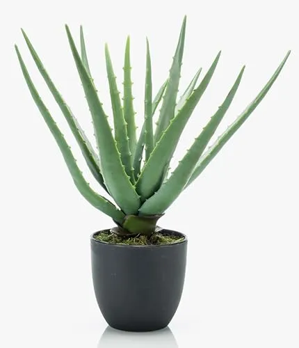 Kunstpflanze Künstliche Aloe Vera EVELIO im Dekotopf, 35cm - Attraktive Kunstpflanze für stilvolle Dekoration. Ideal für den Innenbereich, pflegeleicht und langlebig. Perfekt, um jedem Raum ein grünes Flair zu verleihen.
