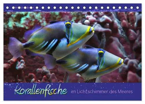 Heinz Schmidbauer | Korallenfische im Lichtschimmer des Meeres (Tischkalender...