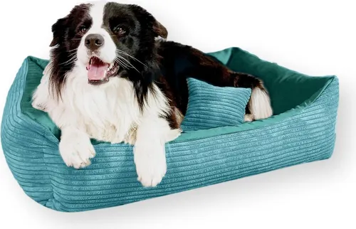4L Textil MOLLY Kuscheliges Cord Hundebett mittelgroße Hunde Hundekorb Cord Hundekissen flauschig Hundekörbchen Cord (100x80 cm, Türkis)