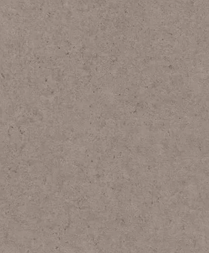 Rasch Tapeten Vliestapete Braun 10,05 m x 0,53 m in beige von Rasch
