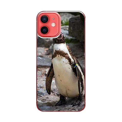 König Design Handyhülle Kompatibel mit Apple iPhone 12 Mini Hülle TPU Eckenschutz Stoßfest Dünn Kratzfest Schutzhülle - Pinguin