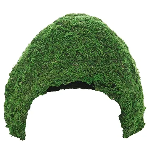Hobby 34604 Jungle Cave 3, 243 g