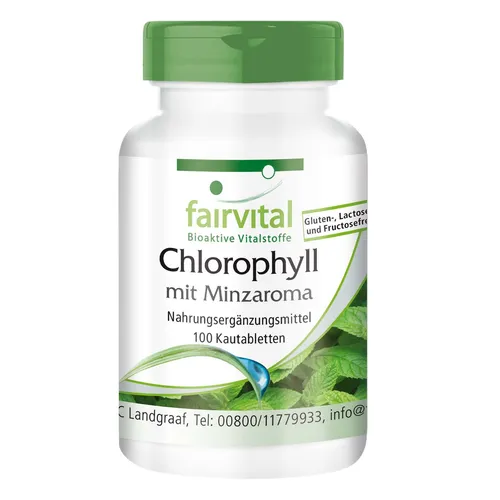 Chlorophyll Kautabletten mit Minzaroma - 100 Tabletten für frischen Atem - Nahrungsergänzungsmittel für frischen Atem, vegan und glutenfrei, mit natürlichem Pfefferminz-Aroma für ein angenehmes Geschmackserlebnis.