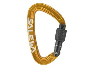 Salewa Ortles Screw Karabiner (Größe One Size, gruen)