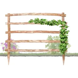 BooGardi Natürliche Rankhilfe aus Holz