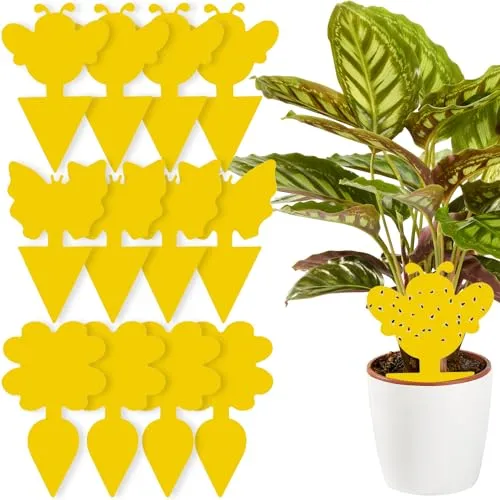Gelbsticker-Set für Zimmerpflanzen - 12 Stück zur Trauermückenbekämpfung - Effektives Gelbsticker-Set für Zimmerpflanzen mit 12 Stück. Ideal zur Bekämpfung von Schädlingen wie Trauermücken und Fruchtfliegen. Einfach anzuwenden und sorgt für gesunde Pflanzen.