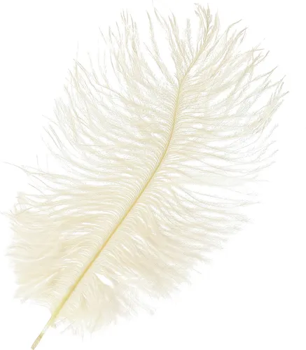Exquisite Cremeweiße Deko-Straußenfedern 20-25cm 12 St. - Elegante Hochzeits- und Basteldekoration, 12 Stück
