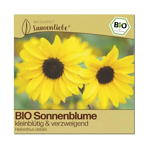 Samenliebe BIO Sonnenblumen Samen | Schnittsonnenblume