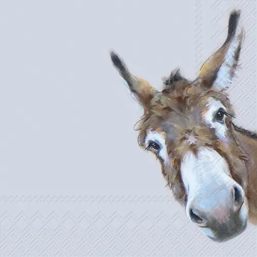 Servietten Donkey Gonzo - Lustiger Esel Tiere Grautier Bauernhof Deko 33x33cm 20