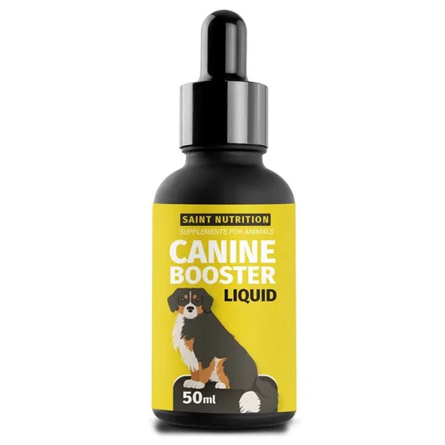 Saint Nutrition® Canine Booster für Hunde - Gelenkkraft & Beweglichkeit - Gelenk- & Knochenschutz für Hunde, unterstützt die Gelenkgesundheit mit Mariendistelöl für bessere Beweglichkeit und stärkere Zähne. Ideal für alle Hunde, auch Welpen.