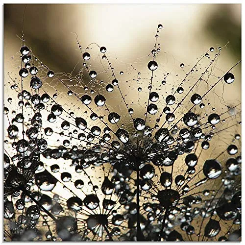 ARTland Wanddeko Glasbilder Wandbild Glas Bild einteilig 50x50 cm Quadratisch Natur Botanik Blumen Pusteblume Frühling Wassertropfen Modern S5YR