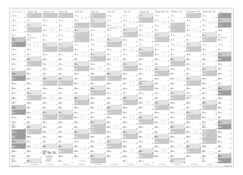 XXL Wandkalender DIN A0 2026 (grau2) große Tageskästchen (Kalender werden gerollt versendet)