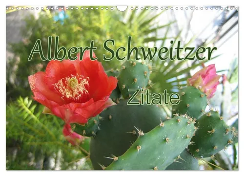 Albert Schweitzer Zitate Wandkalender 2026 - Kalender mit inspirierenden Zitaten von Albert Schweitzer, kombiniert mit beeindruckenden Naturfotografien – ideal für jeden Raum.