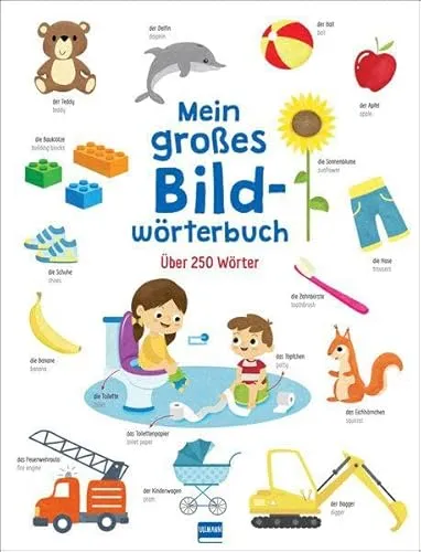 Mein großes Bildwörterbuch: Zweisprachiges Bildwörterbuch mit über 250 Wörtern in Deutsch-Englisch für Kinder ab 3 Jahren