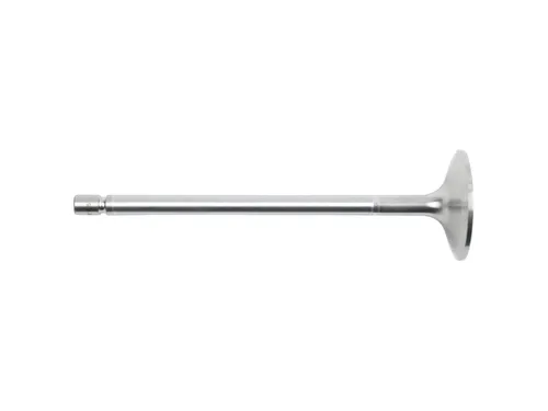 Dt Spare Parts Einlassventil 2.10002