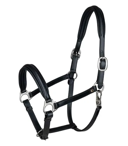 Waldhausen Schwarz/Silber WB Lederhalfter S-Line Classy - Elegantes Halfter in Schwarz/Silber für stilvolle Pferde, aus hochwertigem Leder gefertigt und besonders langlebig.