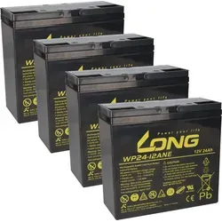 Akku-Satz 48V 24Ah für Rolektro Trike und Quad