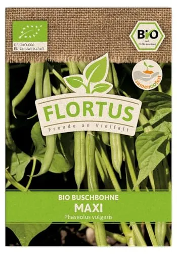 FLORTUS BIO Buschbohne Maxi | Gemüsesamen | Bohnensamen | Buschbohnensamen | Samen zur Anzucht für Garten, Balkon, Küche & Fensterbank
