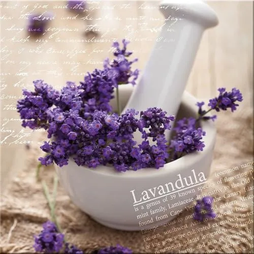 artissimo, Glasbild, 30x30cm, AG2063A, Lavandula I, Blumen-Bild Lavendel, Bild aus Glas, moderne Wanddekoration aus Glas, Wandbild Wohnzimmer modern