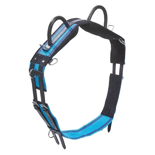 Longiergurt DOUBLE - Reitgurte für sicheres Longieren mit optimalem Körperkontakt, ausgestattet mit Ledergriffen und Polster für Widerristfreiheit, ideal für Kinder und Anfänger.