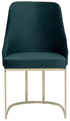 Xlmoebel Polsterstuhl Grüner Esszimmerstuhl mit Edelstahlrahmen und bequemem Design (1 St), Hergestellt in Europa