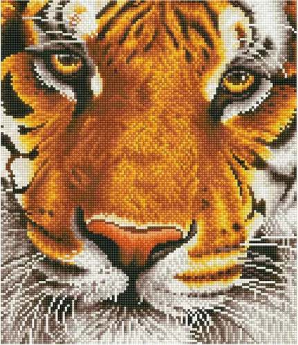Diamond Painting Bengal Magic DiamondDotz #5003275 - Kreatives Bastelset für ab 12 Jahren, inklusive vorsortierten Strasssteinen und Antirutschgriff-Stift für präzises Arbeiten.