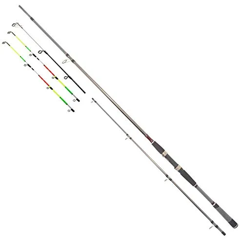 Daiwa Seahunter X Variotip 3,00m 30-110g