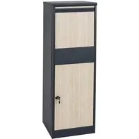 PROREGAL Paketkasten XL 140x46x45cm - Anthrazit mit Holzoptik - Großzügiger Paketkasten für private und gewerbliche Nutzung. Mit sicherem Einwurfsystem und abschließbarem Fach, schützt er zuverlässig vor unbefugtem Zugriff.