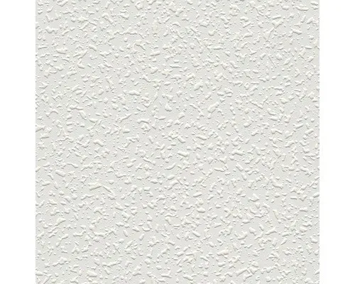 Vliestapete 1041-13 Meistervlies 2020 ProProtect Putz leicht