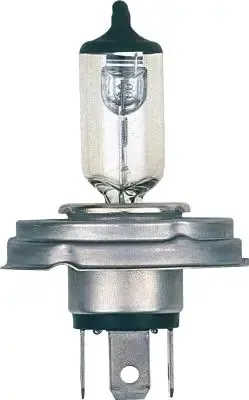 Glühbirne 481213000 NARVA