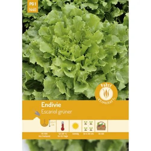 Pabst Keimkraft - Ganzblättrige Endivie ganzblättrig & lagerfähig Escariol grüner Samen - 171440
