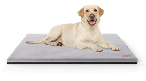 Knuffelwuff Orthopädische Hundematte Berrith 60x40cm Grau - Hundebetten: Orthopädisches Design zur Gelenkentlastung, kuscheliges Kaninchenfell-Imitat für maximalen Komfort und Wärme, ideal für Zuhause und unterwegs.