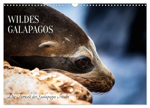 Wildes Galapagos - Die Tiere der Galapagos Inseln (Wandkalender 2026) - Entdecke die faszinierende Tierwelt der Galapagos Inseln mit diesem beeindruckenden DIN A3 Wandkalender. Ideal für Reise- und Naturfreunde!