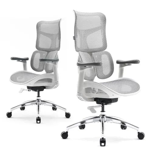 SIHOO Doro S100 Ergonomischer Bürostuhl