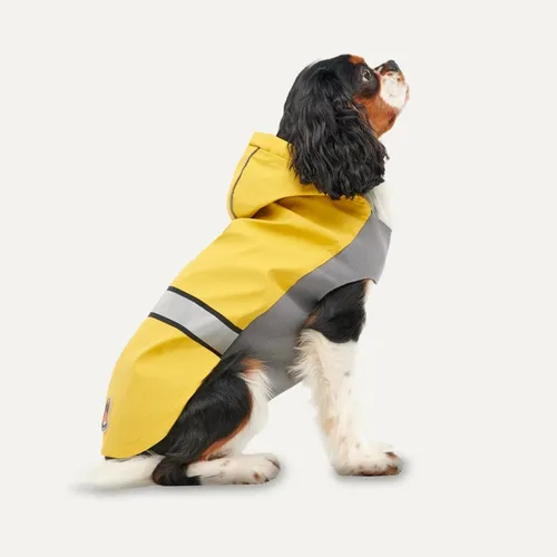Goo-eez Reflective Hunderegenmantel 2XL Gelb/Grau - Hochwertiger Regenmantel für Hunde, mit reflektierenden Elementen für erhöhte Sichtbarkeit und optimalen Schutz bei schlechtem Wetter.