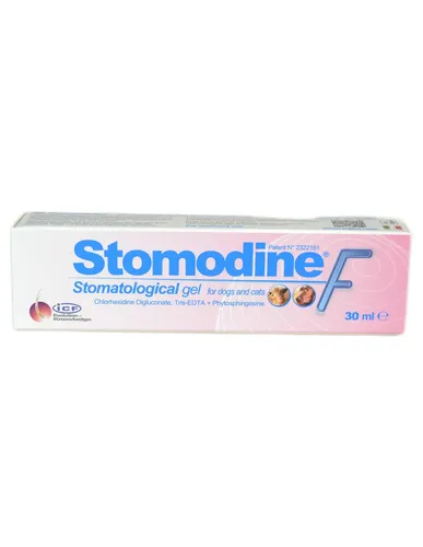 Stomodine F ICF 30 Ml von ICF