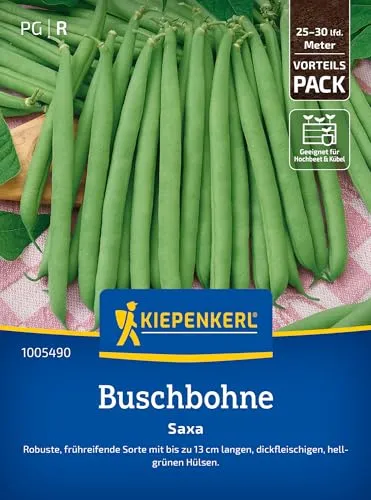 Kiepenkerl Buschbohnensamen Saxa 1005490 – Gemüsesamen für Bohnen mit bis zu 13 cm langen Hülsen und Inhalt für 25 bis 30 lfd. Meter - Saatgut, Gemüse Pflanzen