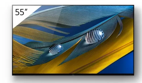 Sony FWD-55A80J 55