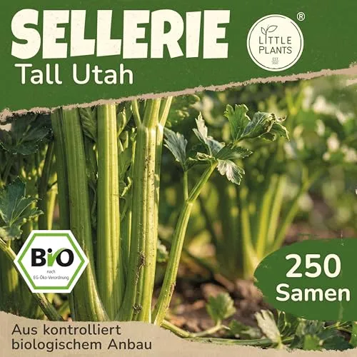 Saatgut von Little Plants
