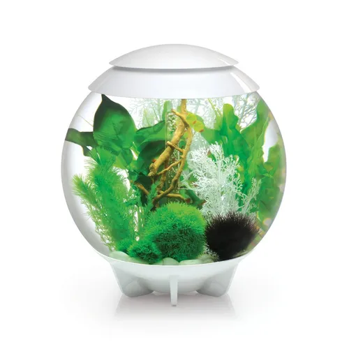 biOrb Halo 30 MCR weiß: Modernes Acrylaquarium in weiß von Oase Livingwater