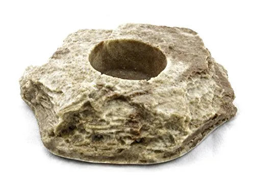 Dragon Terraristik Jelly-Food (Sandstein, Jelly Food Rock)