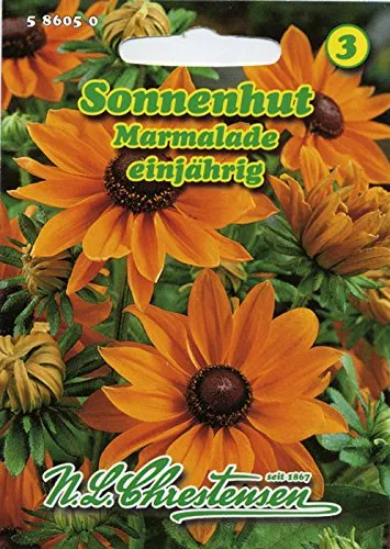 Sonnenhut Marmalade goldorange Sommerblume 'Rudbeckia hirta'