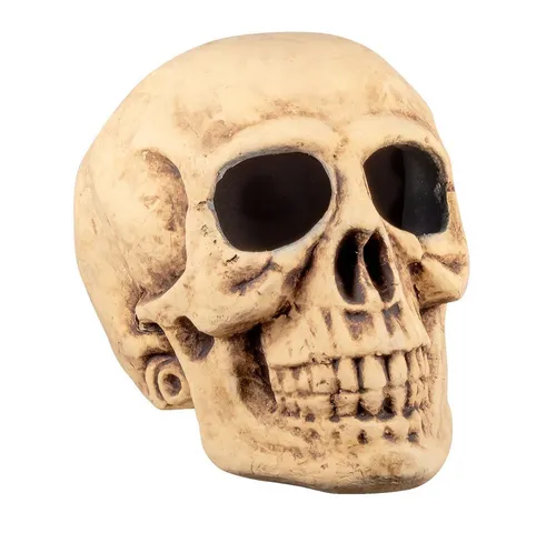 Boland Dekoobjekt Totenkopf Master brain (40x35cm)