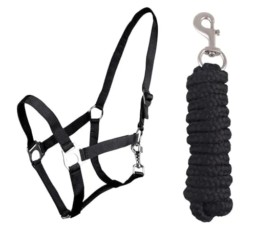 ARBO-INOX Halfter-Set Beginner - Halfter + Führstrick mit Karabinerhaken verstellbar (COB VOLLBLUT, SCHWARZ)