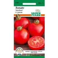 SAMEN PFANN Tomate Harzfeuer F1