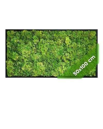 JELLE & JACOB Künstliche Pflanzenwand Moosbild XXL, Rahmen Schwarz 50x100 cm - Schaffe eine grüne Oase in deinem Zuhause mit diesem stilvollen Moosbild XXL. Pflegeleicht und langlebig, ideal für Indoor & Outdoor. Perfekt zur Raumgestaltung und für eine entspannende Atmosphäre.