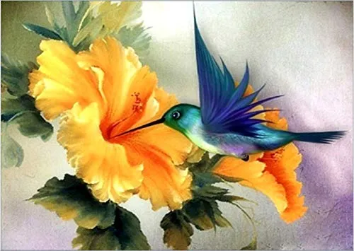 Abillyn Stickerei-Set, Kreuzstich, Kolibri- und Blumenstempel mit gedrucktem Muster, Starter-Set (Kolibri)